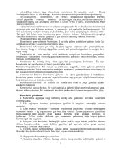 Krovinių vežimas konteineriuose 5 puslapis