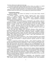 Krovinių vežimas konteineriuose 6 puslapis