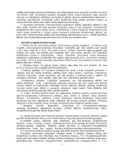 Krovinių vežimas konteineriuose 7 puslapis