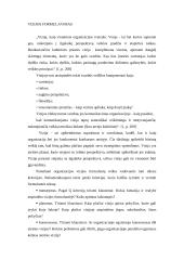 Kultūrinės įmonės vizijos, misijos ir filosofijos formulavimas 2 puslapis