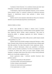 Kultūrinės įmonės vizijos, misijos ir filosofijos formulavimas 3 puslapis