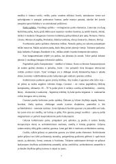 Kultūrinis parkas - žmogaus rekreacinė aplinka 6 puslapis