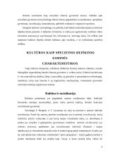 Kultūros kaip specifinio reiškinio esminės charakteristikos 2 puslapis