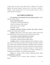 Kultūros kaip specifinio reiškinio esminės charakteristikos 4 puslapis