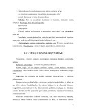 Kultūros kaip specifinio reiškinio esminės charakteristikos 5 puslapis