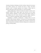 Kultūros kaip specifinio reiškinio esminės charakteristikos 6 puslapis