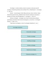 Kultūros sociologija 2 puslapis