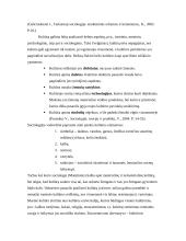 Kultūros sociologija 3 puslapis