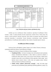 Kvalifikacijos kėlimo poreikis karjeros požiūriu 3 puslapis