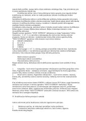 Kvalifikacijos kėlimo strategija: turizmo agentūra "West Express" 5 puslapis