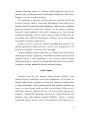 Laiku paremta konkurencija 8 puslapis