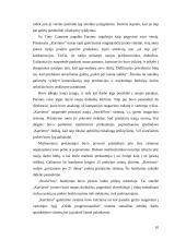 Laiku paremta konkurencija 10 puslapis