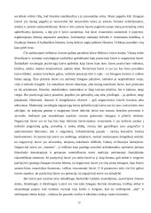 Laisvės problema ir demokratija 20 puslapis