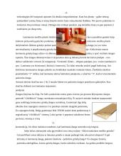 Laminuotos ir medinės grindys 2 puslapis