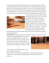 Laminuotos ir medinės grindys 3 puslapis