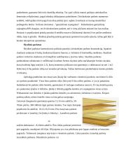 Laminuotos ir medinės grindys 6 puslapis