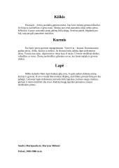 Laukiniai žinduoliai mūsų aplinkoje 3 puslapis