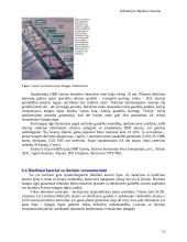 Lazerių rūšys 13 puslapis