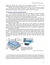 Lazerių rūšys 15 puslapis