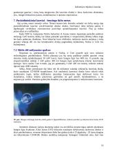 Lazerių rūšys 16 puslapis