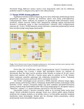 Lazerių rūšys 20 puslapis