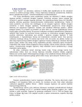 Lazerių rūšys 4 puslapis