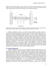 Lazerių rūšys 8 puslapis