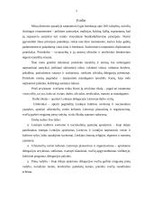 Lenkijos delegacijos Lietuvoje darbo vizitas 2 puslapis