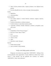 Lenkijos delegacijos Lietuvoje darbo vizitas 20 puslapis