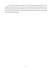 Lyčių nelygybė įvairiose visuomenės gyvenimo srityse 11 puslapis