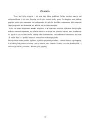 Lyčių nelygybė įvairiose visuomenės gyvenimo srityse 12 puslapis