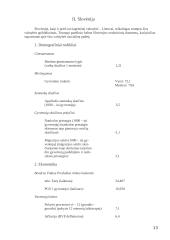 Lietuva, Slovėnija, Nigerija - šalių analizė ekonominiu ir energetiniu požiūriu 11 puslapis