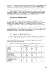 Lietuva, Slovėnija, Nigerija - šalių analizė ekonominiu ir energetiniu požiūriu 16 puslapis
