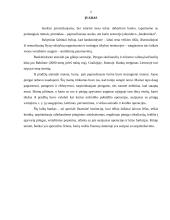 Lietuvos bankinės sistemos raida 2 puslapis