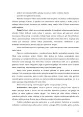 Lietuvos bankų teikiamos paslaugos 11 puslapis