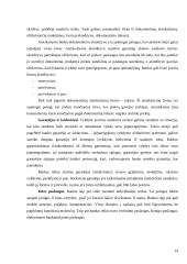 Lietuvos bankų teikiamos paslaugos 12 puslapis