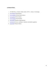 Lietuvos bankų teikiamos paslaugos 14 puslapis