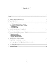 Lietuvos bendrasis produktas 2 puslapis