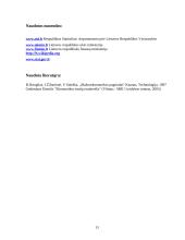 Lietuvos bendrasis produktas 13 puslapis