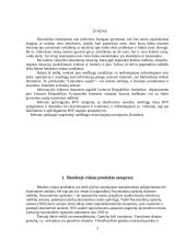 Lietuvos bendrasis produktas 3 puslapis