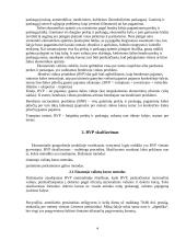 Lietuvos bendrasis produktas 4 puslapis