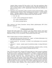 Lietuvos bendrasis produktas 8 puslapis