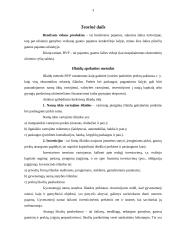 Lietuvos bendrasis vidaus produktas - išlaidų metodu 3 puslapis