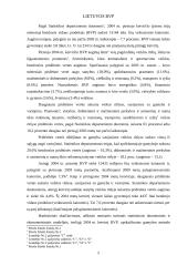 Lietuvos bendrojo vidaus produkto įvertinimas gamybos metodu 5 puslapis
