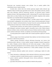 Lietuvos ekonomikos būklė 1990 – 2003 metais 19 puslapis