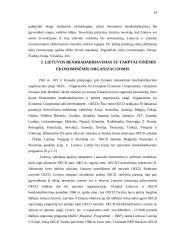 Lietuvos ekonominiai ryšiai su užsieniu 12 puslapis