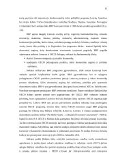 Lietuvos ekonominiai ryšiai su užsieniu 13 puslapis