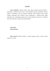 Lietuvos eksporto į Europos Sąjungą (ES) plėtros problemos 3 puslapis