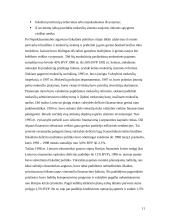 Lietuvos fiskalinė politika 11 puslapis