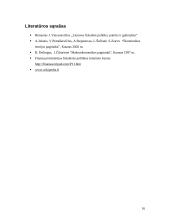 Lietuvos fiskalinė politika 16 puslapis